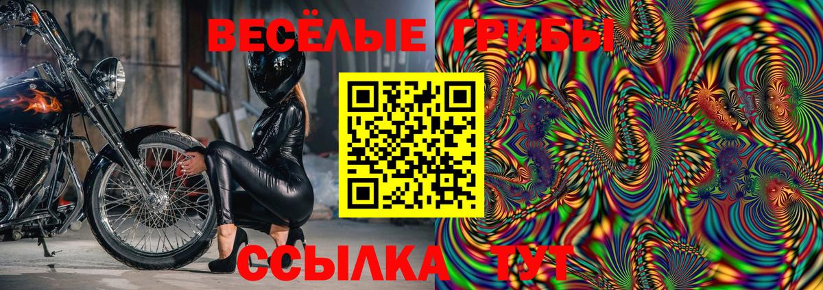 Псилоцибиновые грибы Cubensis Уварово
